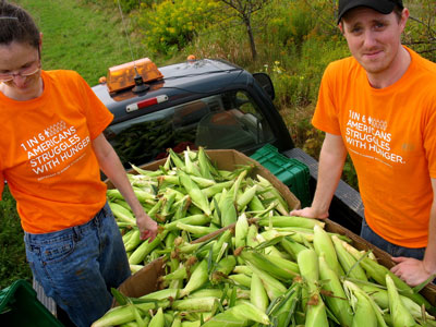 Gleaning corn
