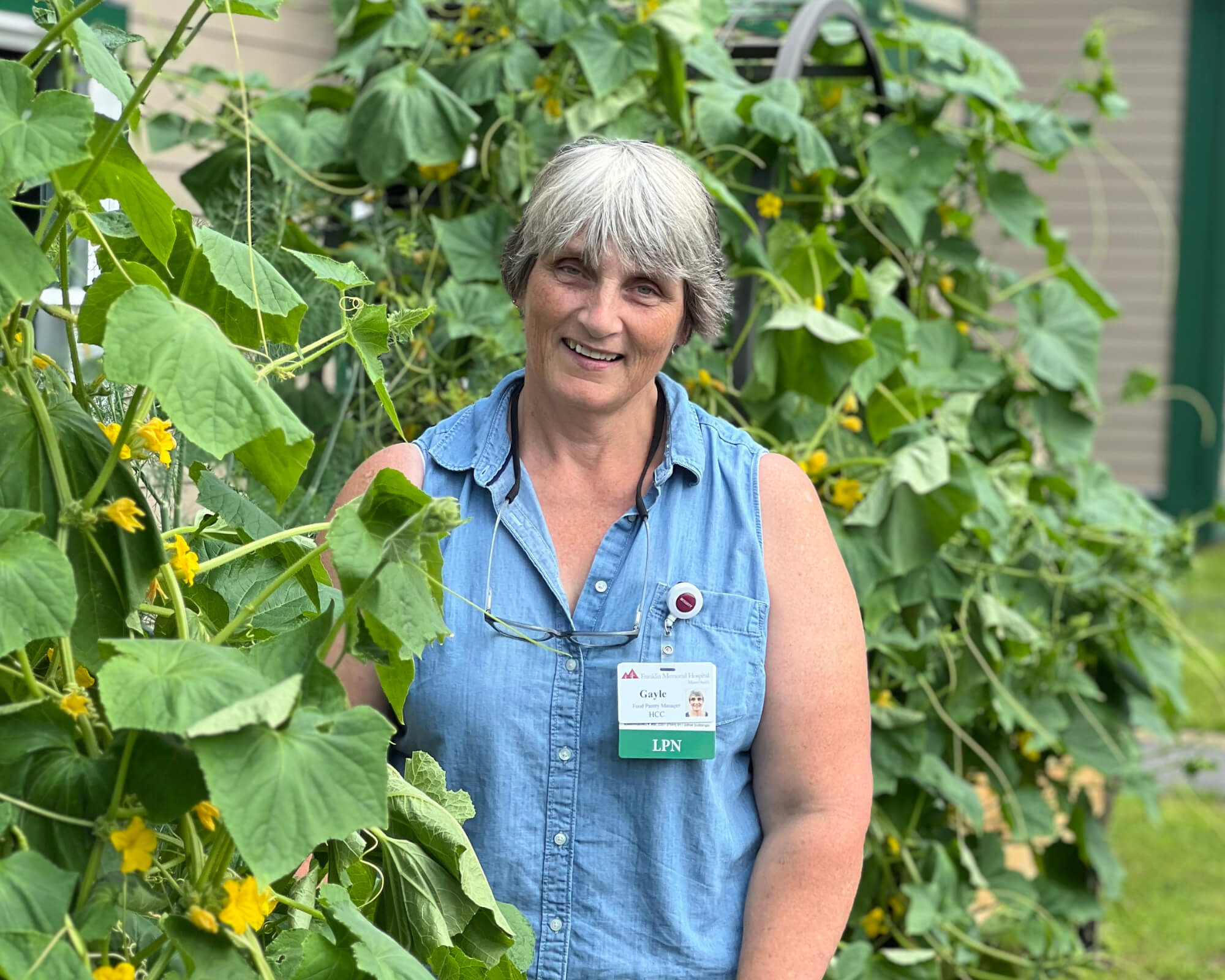 Stories from the Road: MaineHealth Food Pantry at Franklin inset